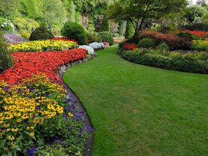 Landscaping Services in Kandy